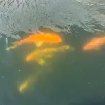 펜션 Casa Do Piscina Aquecida 에스피뇨
