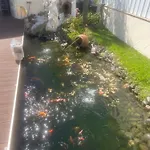 펜션 Casa Do Piscina Aquecida