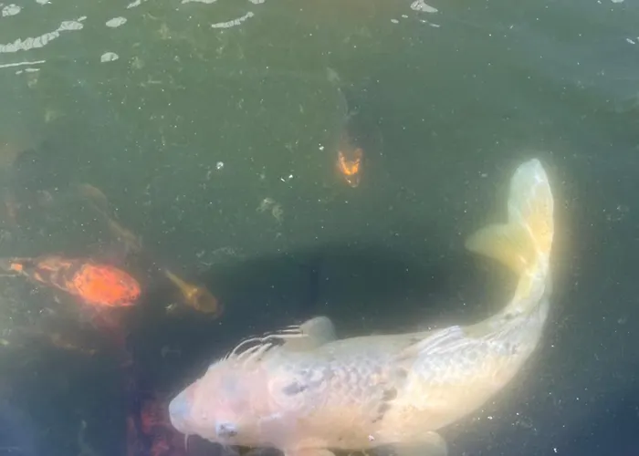 Casa Do Piscina Aquecida