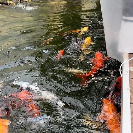 Casa Do Piscina Aquecida Vakantiehuis *