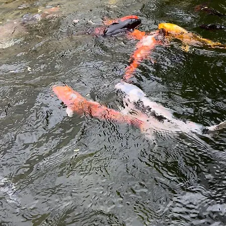 Vakantiehuis Casa Do Piscina Aquecida *