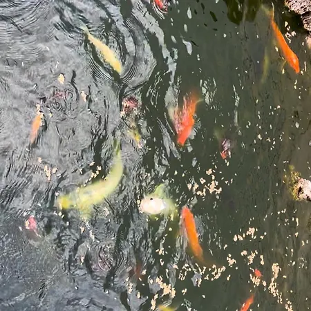 Casa Do Piscina Aquecida Vakantiehuis