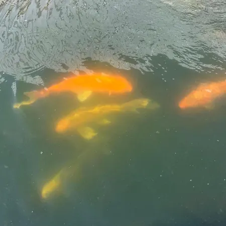 Vakantiehuis Casa Do Piscina Aquecida Espinho (Aveiro)