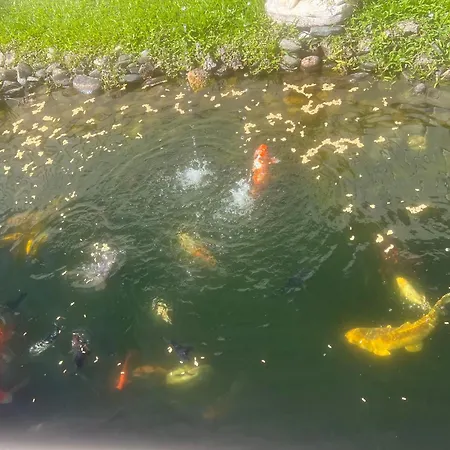 Casa Do Piscina Aquecida Casa Completa *