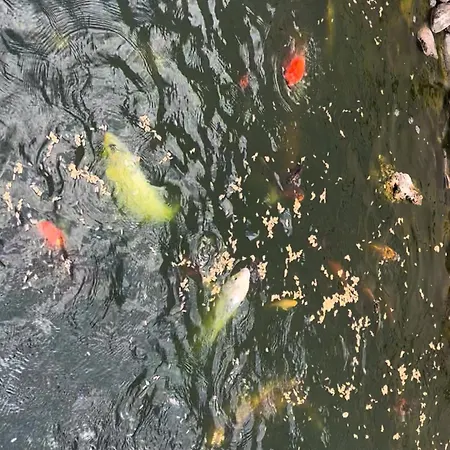 Casa Do Piscina Aquecida Casa Completa Prázdninový dům *