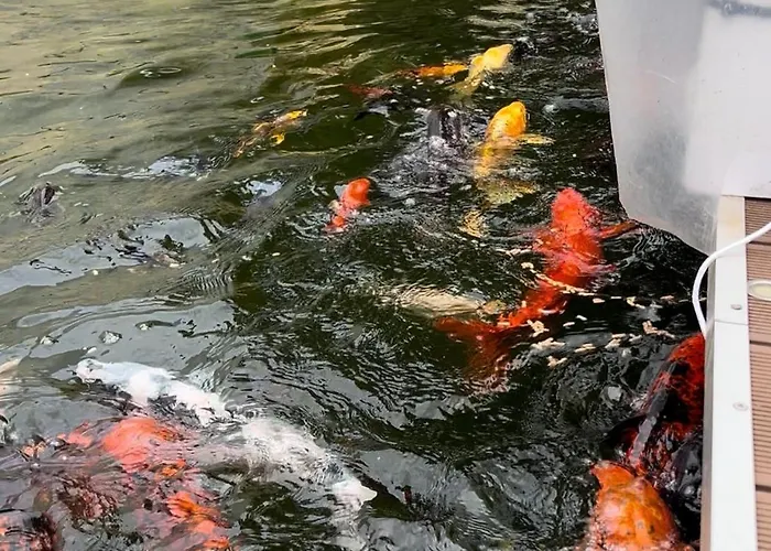Casa Do Piscina Aquecida בית נופש *