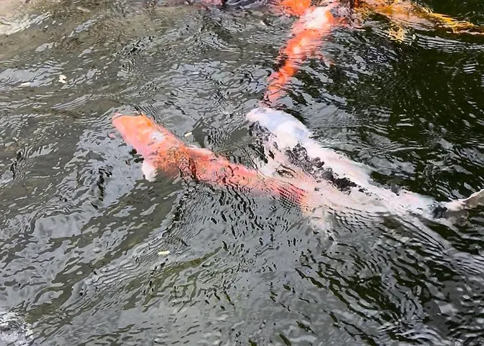 בית נופש Casa Do Piscina Aquecida *