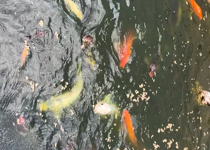 Casa Do Piscina Aquecida בית נופש