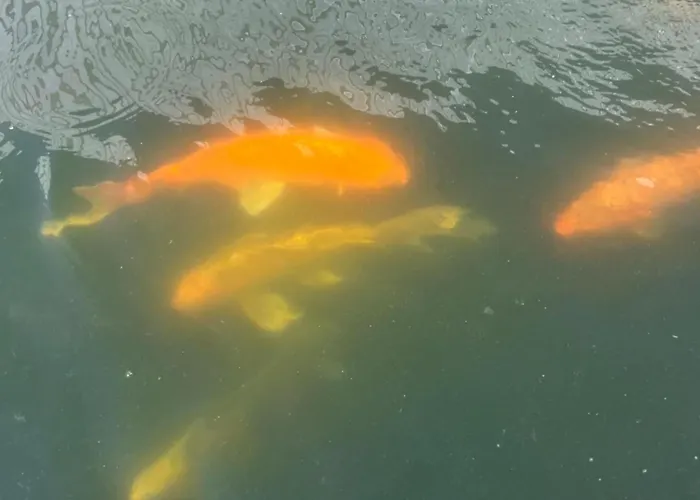 Ferienhaus Casa Do Piscina Aquecida Espinho (Aveiro)