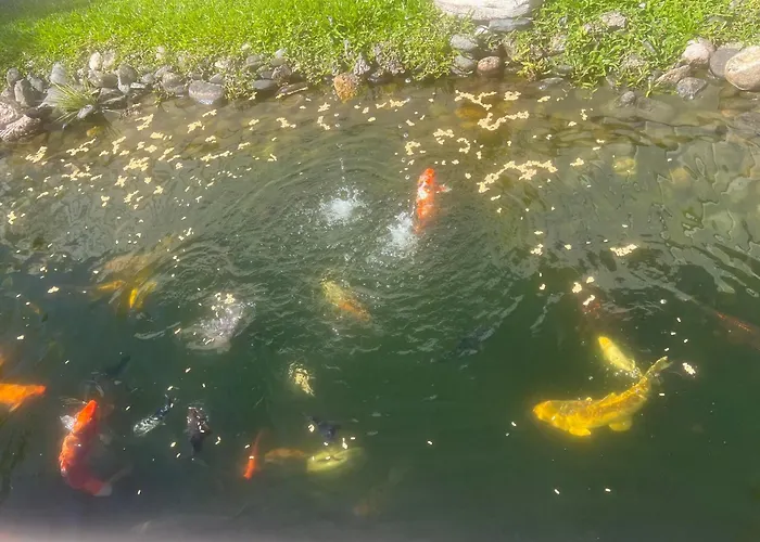 Casa Do Piscina Aquecida *