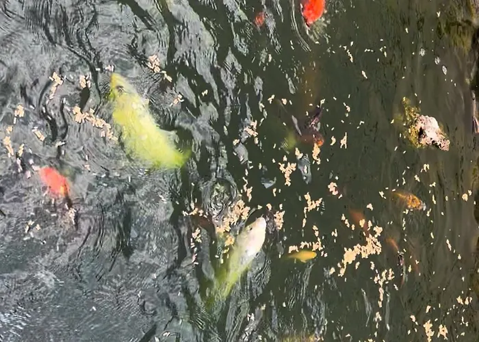 Casa Do Piscina Aquecida בית נופש *